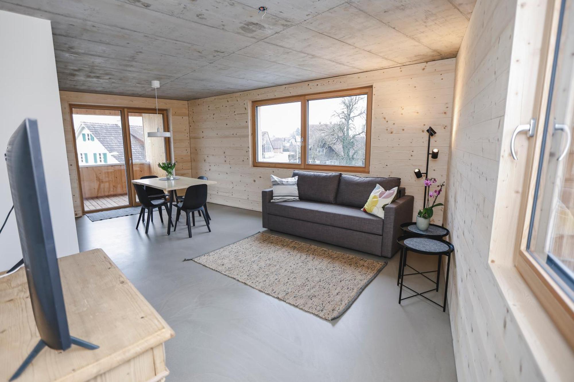Boutique Apartments Lustenau Nachhaltige Kuehlung Ueber Erdsonde Und Fussbodenkuehlung Cameră foto