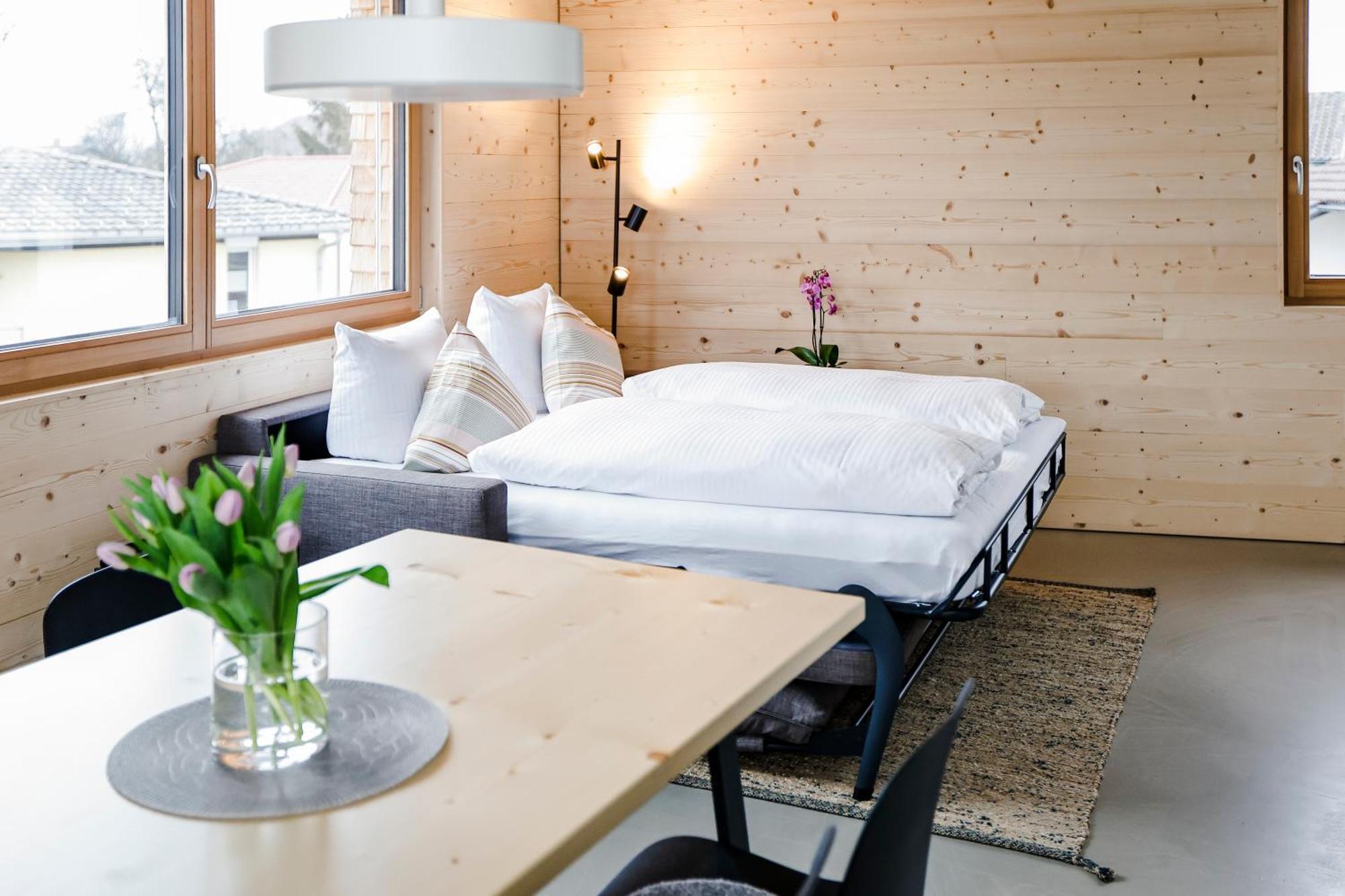Boutique Apartments Lustenau Nachhaltige Kuehlung Ueber Erdsonde Und Fussbodenkuehlung Cameră foto
