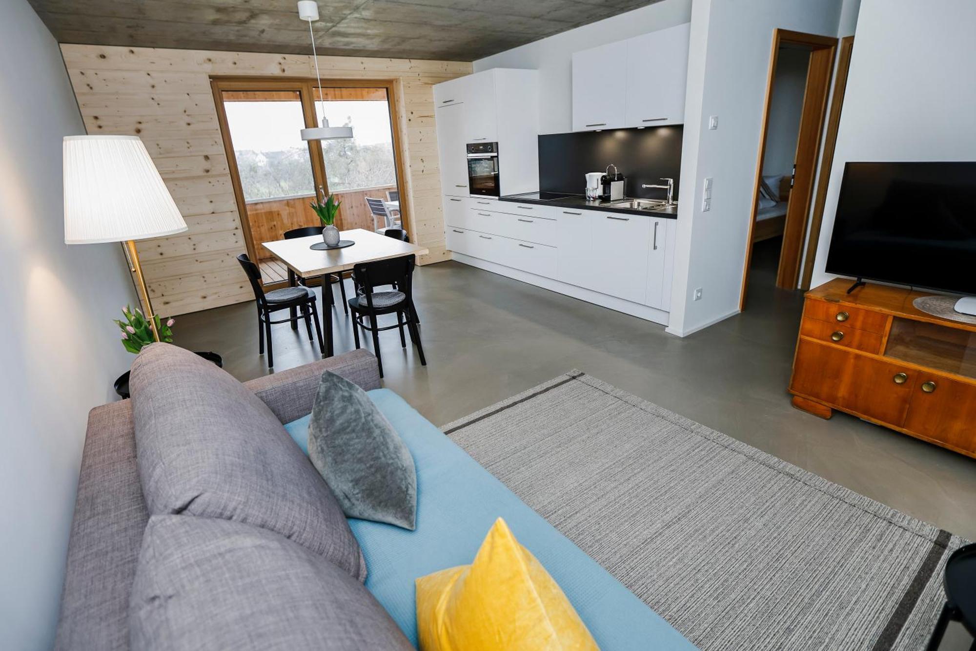Boutique Apartments Lustenau Nachhaltige Kuehlung Ueber Erdsonde Und Fussbodenkuehlung Cameră foto